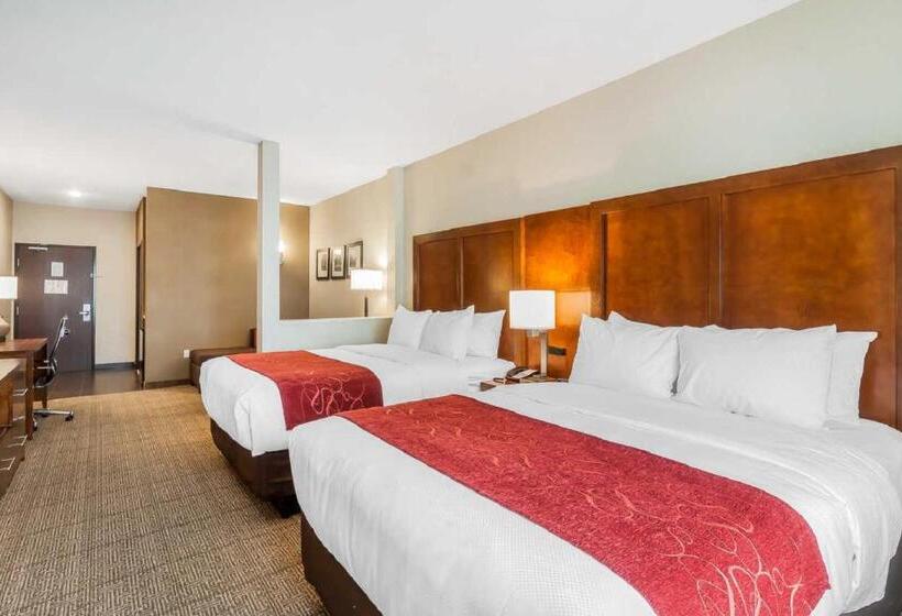 Люкс Адаптированный для Инвалидов, Comfort Suites