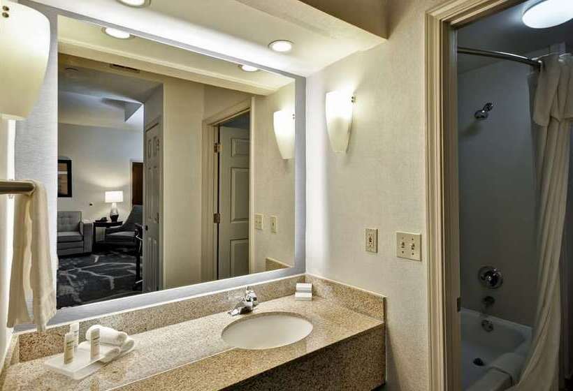 프리미엄 스위트, Home2 Suites By Hilton Oxford