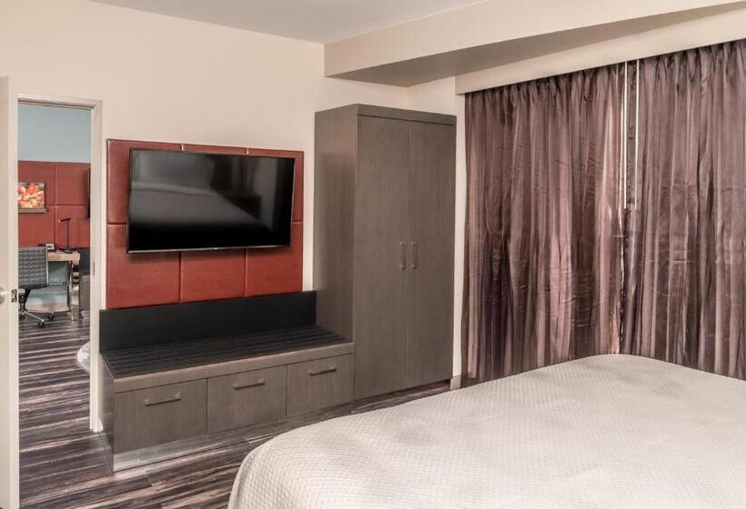 带大床的套房, Indigo   Frisco, An Ihg