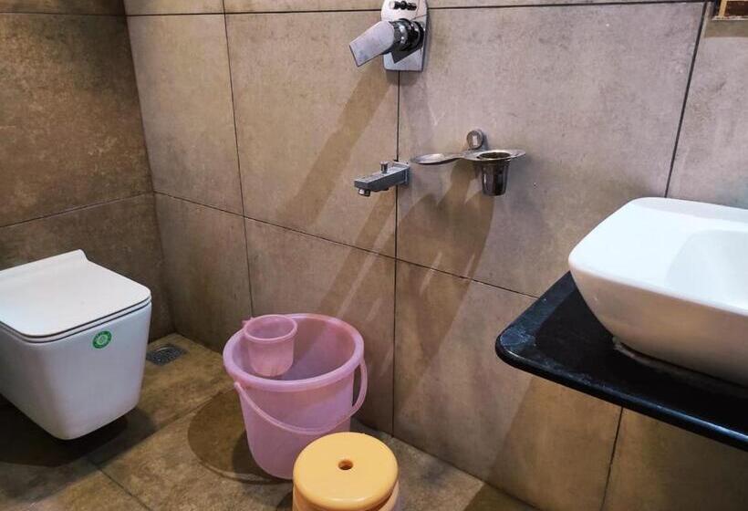 Номер Стандарт, Manasi Inn