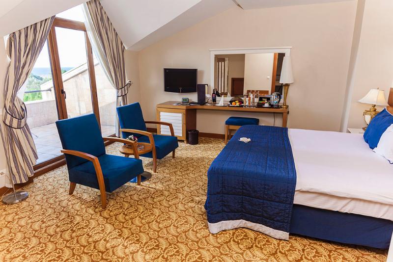 장애인을 위한 킹사이즈 침대 스탠다드 룸, Holiday Inn Express Queensbury Lake George Area, An Ihg