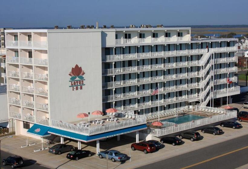 Люкс Повышенной Комфортности, Lotus Inn