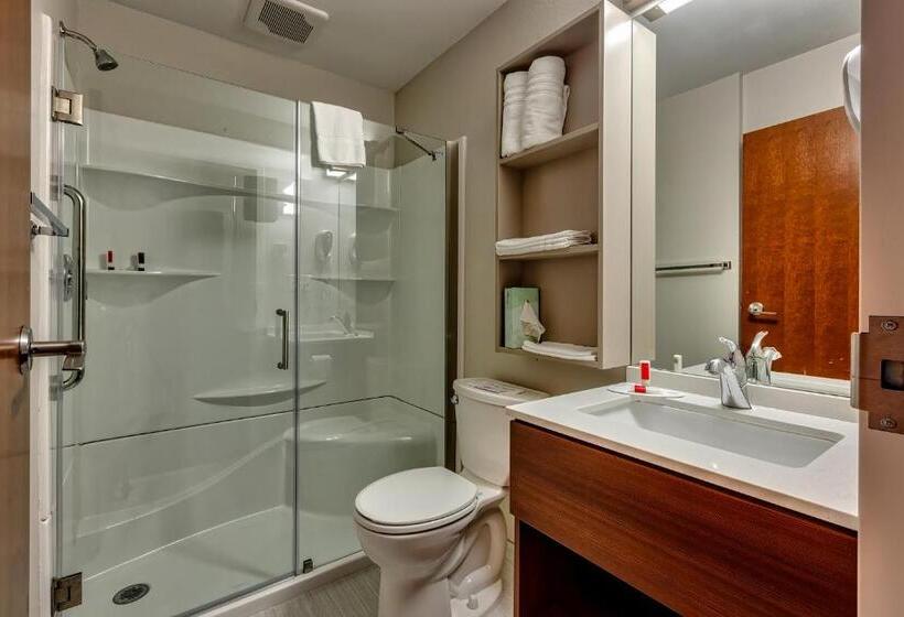 إستوديو قياسى, Microtel Inn & Suites By Wyndham Niagara Falls