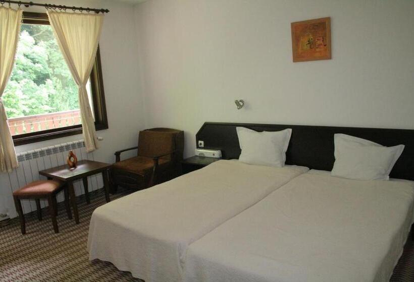 Номер Стандарт Вид на Горы, Family Hotel Bile