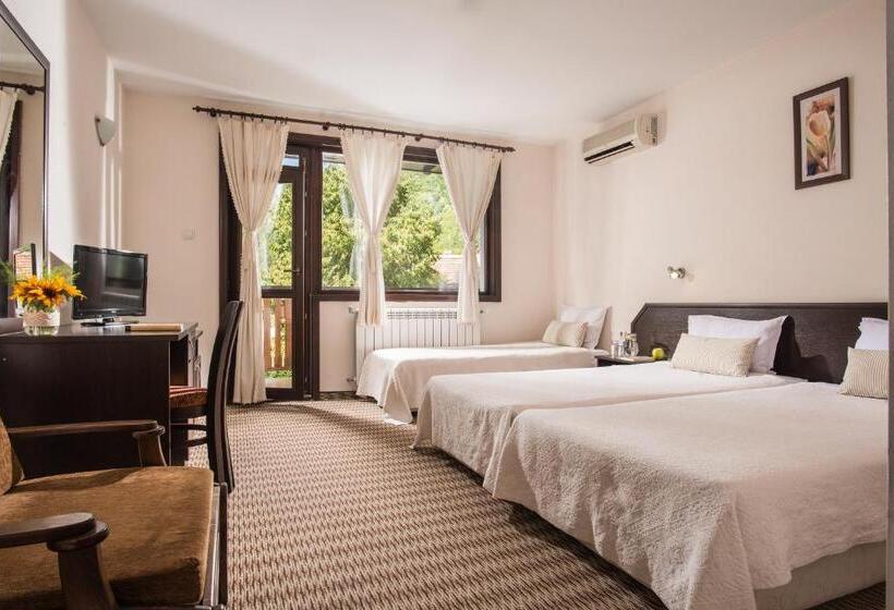 Трехместный Номер Комфорт, Family Hotel Bile
