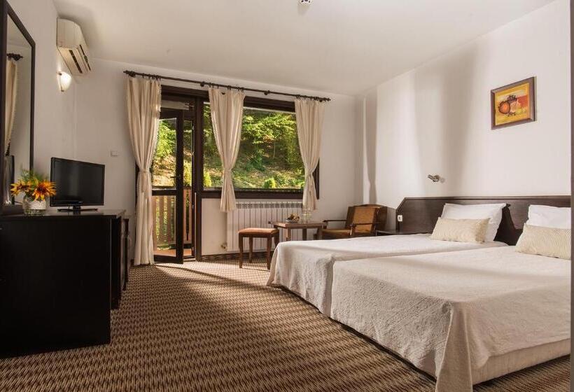 Номер Стандарт Вид на Горы, Family Hotel Bile
