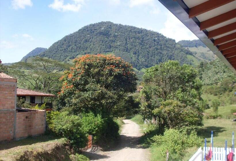 Номер Стандарт с Балконом, Internacional Jardín