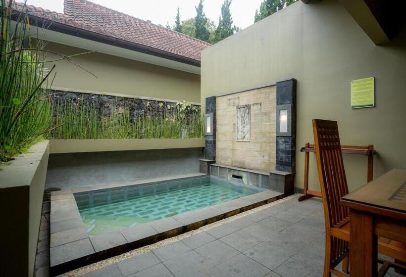 Вилла Deluxe 2 Спальни с Бассейном, Gracia Spa Resort
