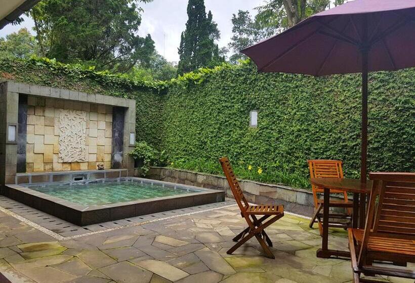 Вилла 3 Спальни с Бассейном, Gracia Spa Resort