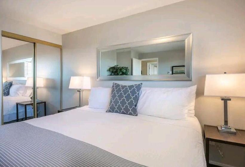 1 Bedroom Apartment Lake View, 206   Megan S Condo