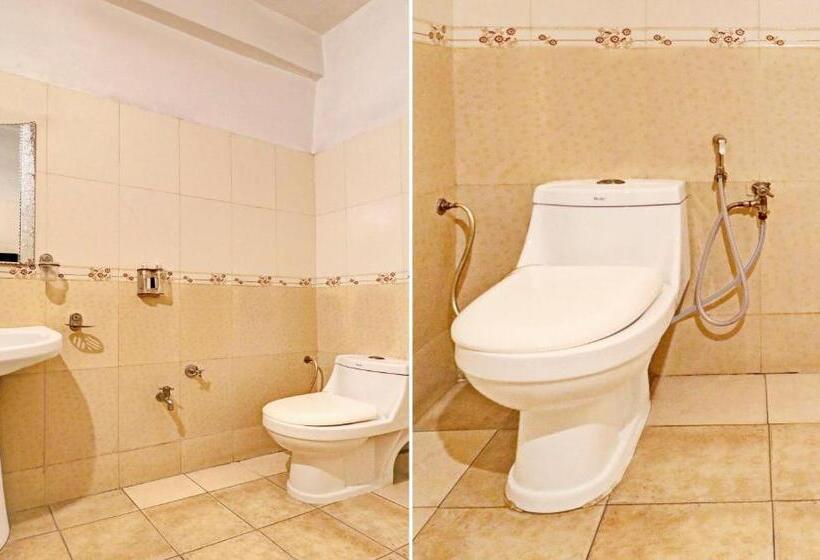 Номер Economy, The Regency Hotel Amirtsar