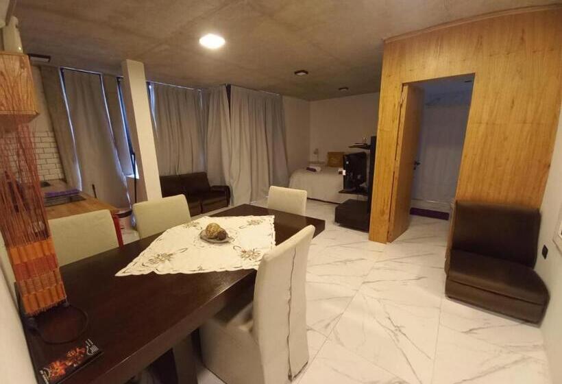 Апартаменты 1 Спальня, La Graciliana Apart   Pleno Centro De Suipacha