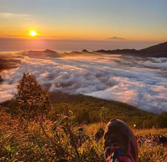 Номер Стандарт, Volcano Vista Inn