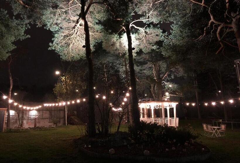 اتاق یک تخته با تراس, Paivilla Boutique