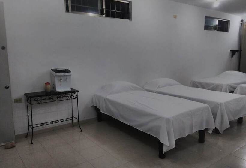 Cama em Quarto Compartilhado, Hostal Frida   Adults Only   Hostel