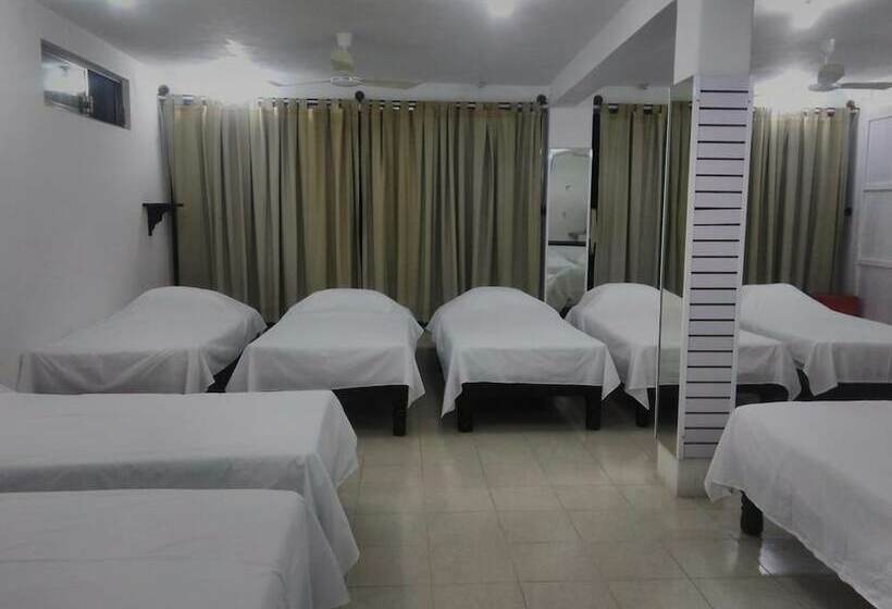Cama em Quarto Compartilhado, Hostal Frida   Adults Only   Hostel