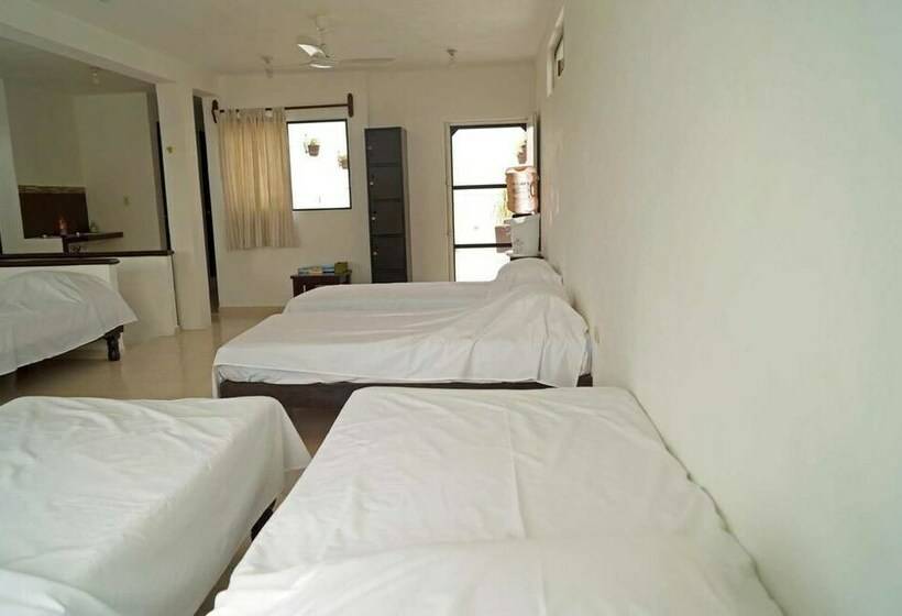 Cama em Quarto Compartilhado, Hostal Frida   Adults Only   Hostel