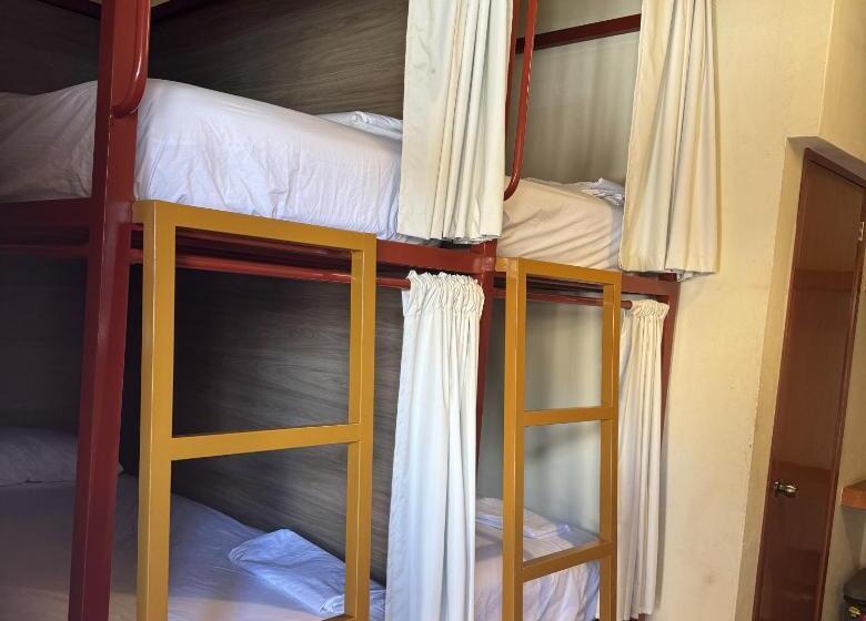 Кровать в Общей Комнате, Viajero Puerto Escondido Hostel