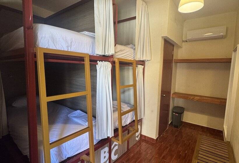 Кровать в Общей Комнате, Viajero Puerto Escondido Hostel