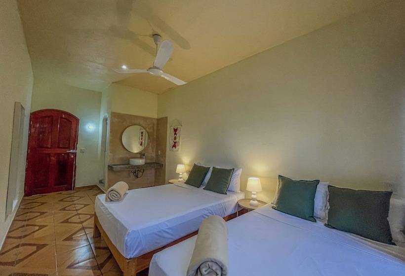 Трехместный Номер Deluxe, Viajero Puerto Escondido Hostel