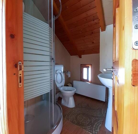 Апартаменты 3 Спальни, Pensiunea Casa Madalina