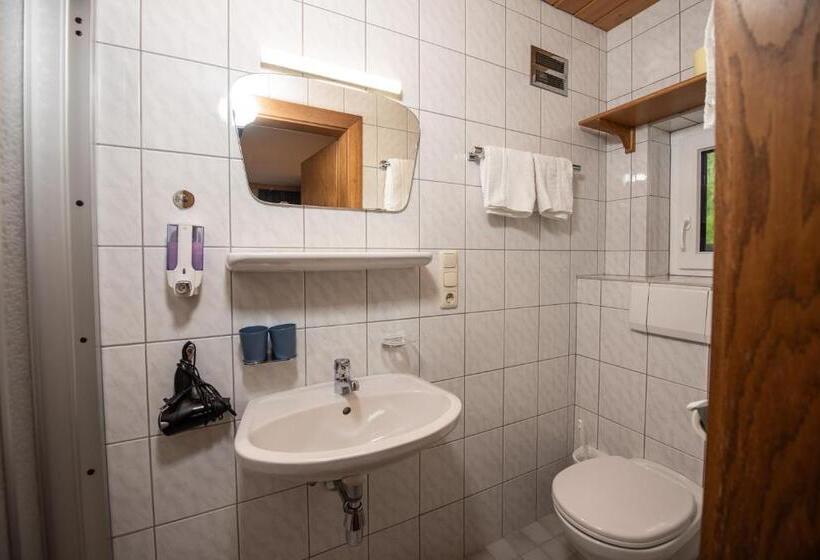 Номер Стандарт с Балконом, Haus Scharler, Talstation