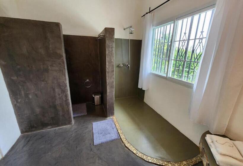 Номер Стандарт, Casa Joseph