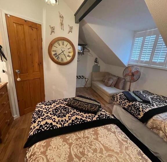 Номер Стандарт, Olivia House