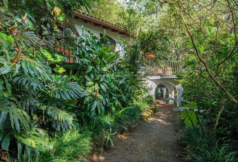 فيلا ديلوكس غرفة نوم, Finca Rosa Blanca Coffee Farm And Inn