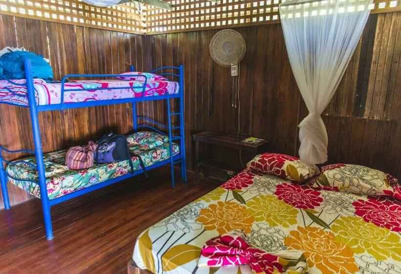 공동 객실, Luminosa Montezuma Hostel