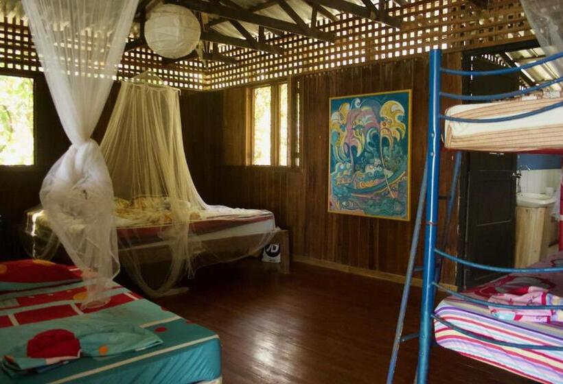 공동 객실, Luminosa Montezuma Hostel