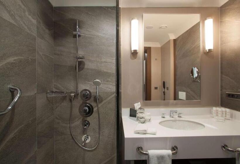 Номер Superior, Radisson Blu Hotel, Diyarbakir