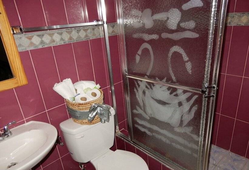 استودیو استاندارد با چشم‌انداز باغ, Hôtel Villa Lamarre