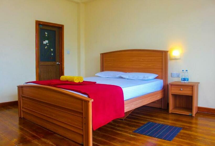 Quarto Economy, Olinka
