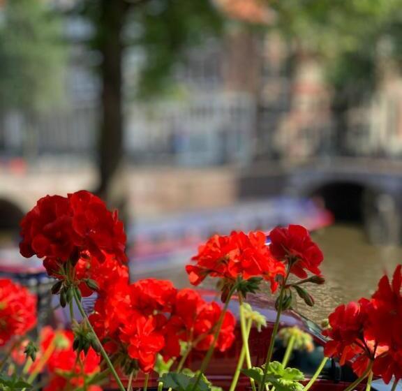 Полулюкс с Видом, Keizershouse Amsterdam