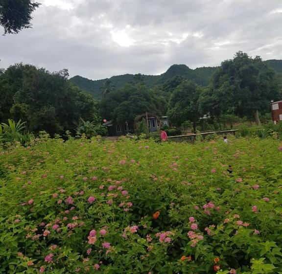 Номер Стандарт Вид на Сад, Blue Mountain Resort