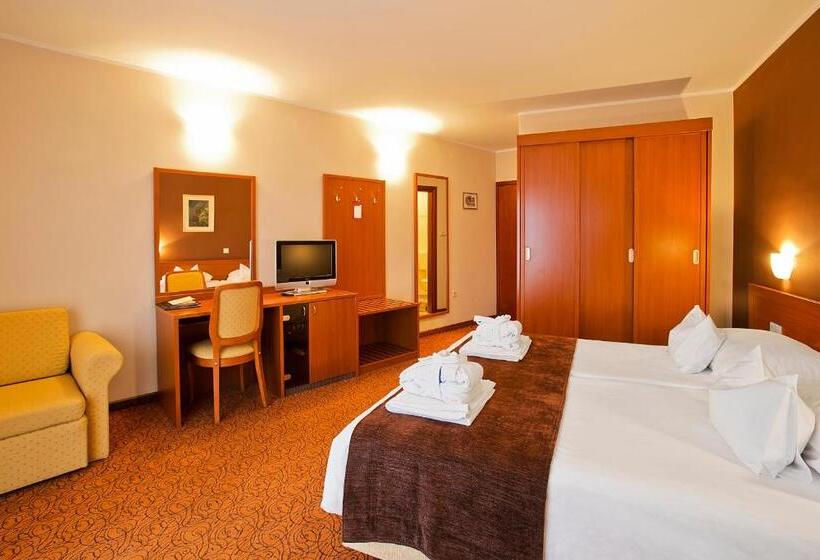 اتاق سوپریور با چشم‌انداز دریا, Spa & Wellness Hotel Pinia