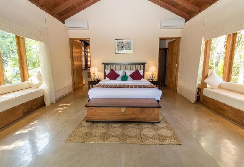 Juniorsvit, Kings Pavilion Luxury