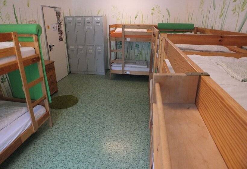 Кровать в Общей Комнате, Max Hostel