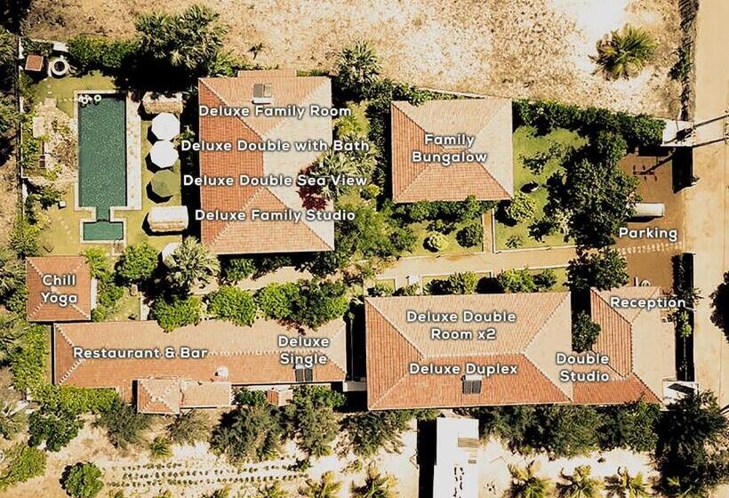 Студия Deluxe, Dream Garden