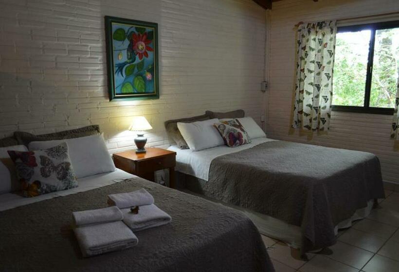 Pokój Deluxe, Oasis Bed And Breakfast