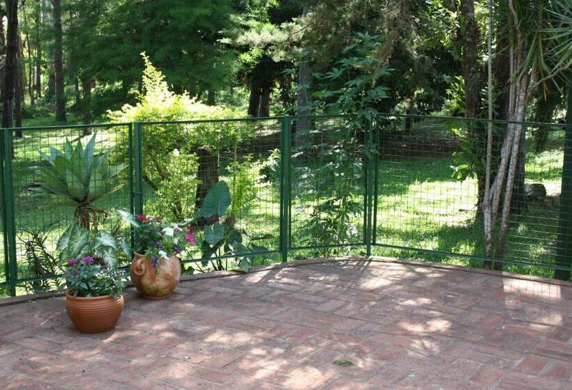 غرفة قياسية, Oasis Bed And Breakfast
