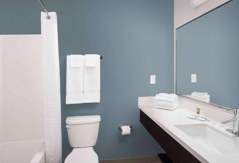 חדר סטנדרט שתי מיטות זוגיות, Woodspring Suites Austin South Central I 35