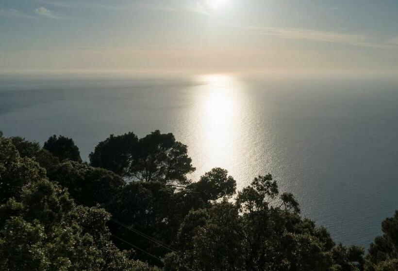 Номер Superior Вид на Море, Bordoy Continental Valldemossa