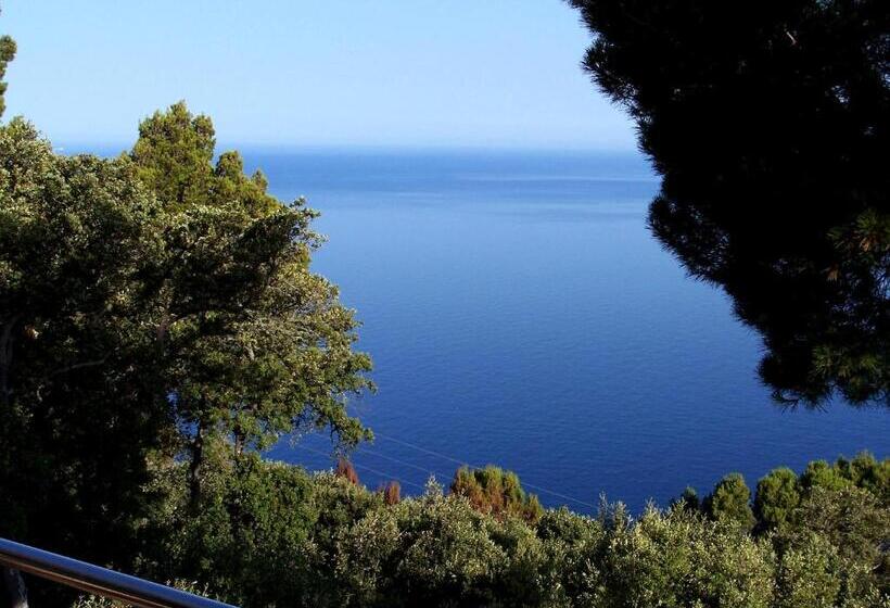 Quarto Superior, Bordoy Continental Valldemossa