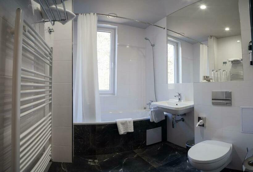 스탠다드 룸, Parkhotel Carlsbad Inn