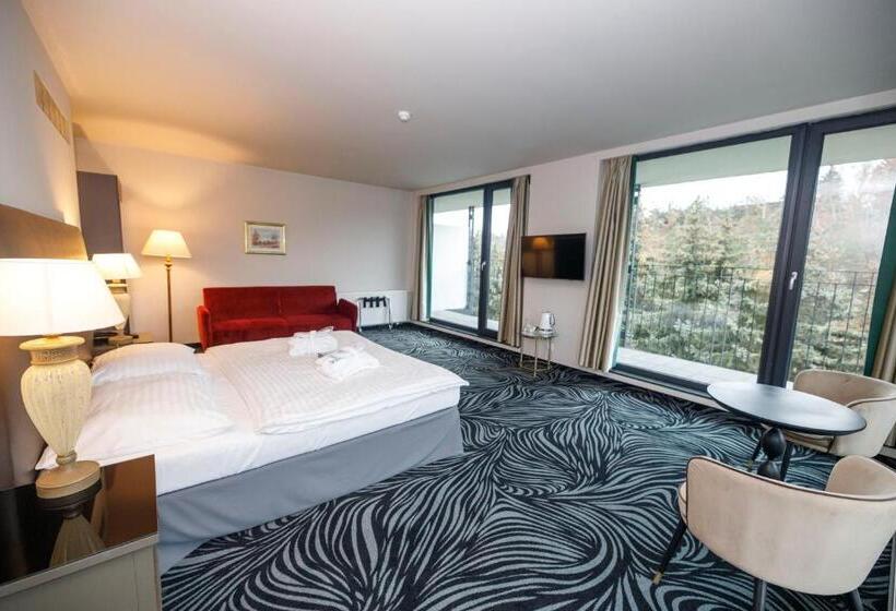 豪华房间, Parkhotel Carlsbad Inn
