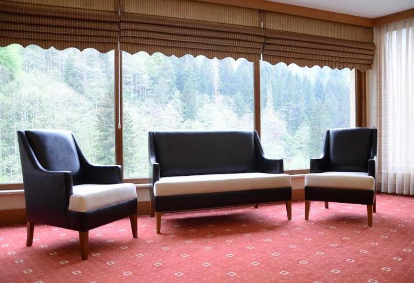 سوئیت با تخت بزرگ, Kackar Resort