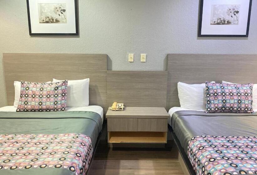 Suite, Island Suites Hobby Airport