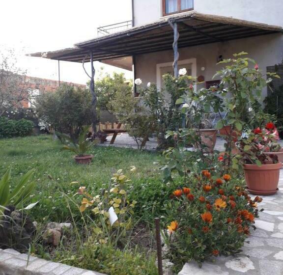 Номер Стандарт, I Girasoli